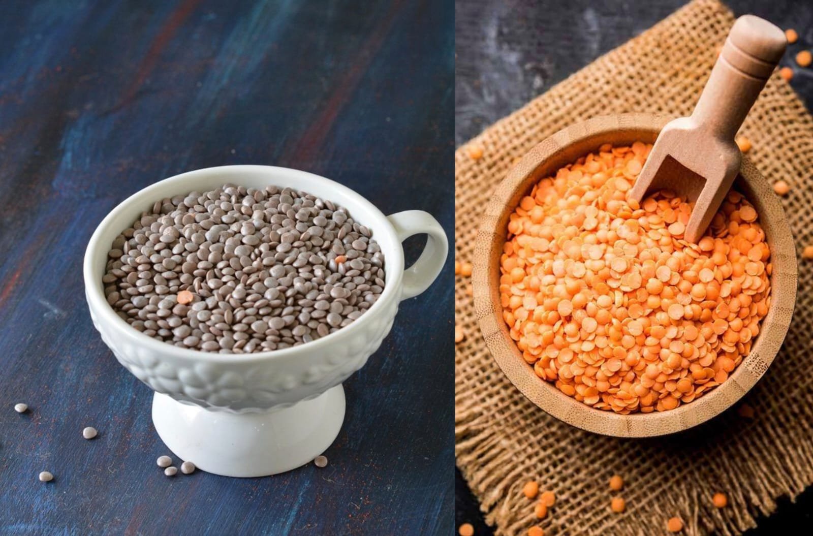 Masoor and Masoor Dal - Pulses / Dals Supplier India